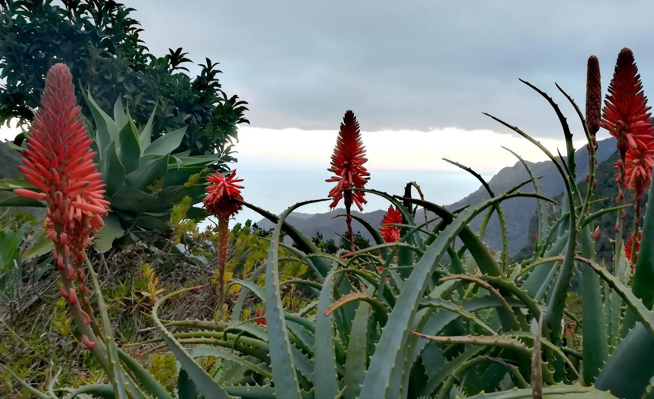 Casa La Montana Villa El Cedro Eksteriør bilde